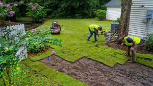 Sod Installation